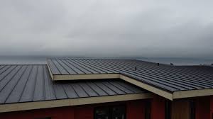 Fast & Reliable Emergency Roof Repairs in Energy, IL